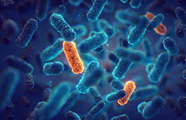 An image of a group of microbes