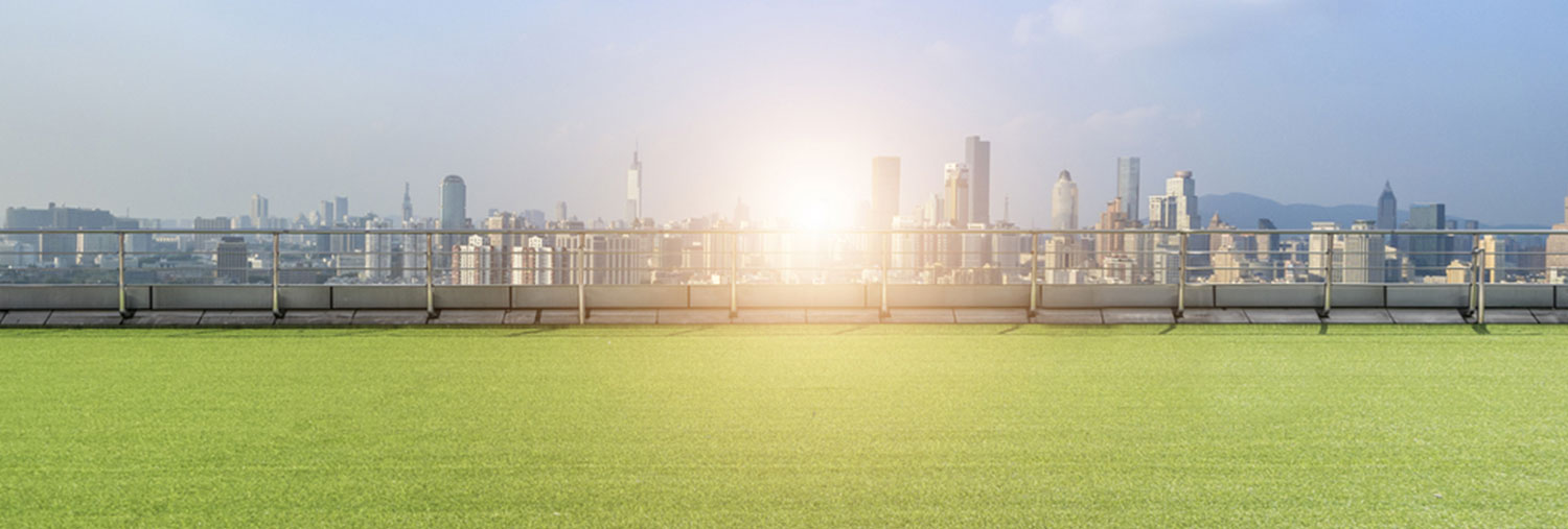green rooftop looking over a cityscape