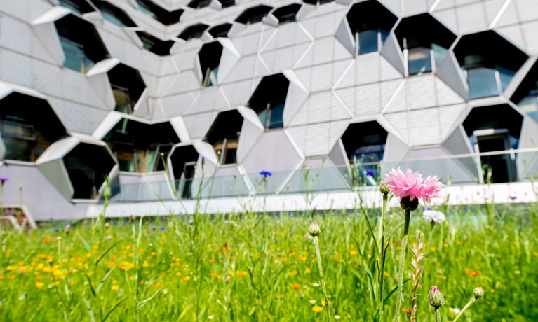 Coventry University green campus