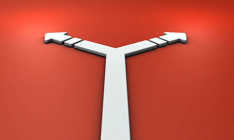 Pathway leading in forking into two 